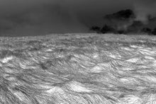 Carica l'immagine nel visualizzatore di Gallery, Sarab Collective | Nahid Rezashateri - Il vento ci porterà via