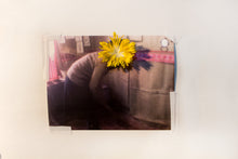 Carica l'immagine nel visualizzatore di Gallery, Sarab Collective | Nahid Rezashateri - Il vento ci porterà via